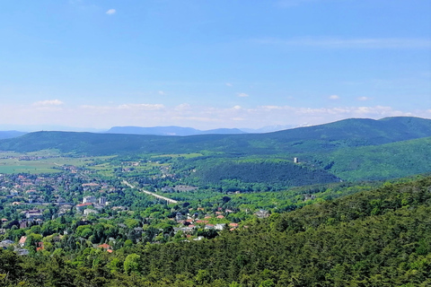 Viena: tour de vino de día completo por el bosque de VienaTour privado de verano