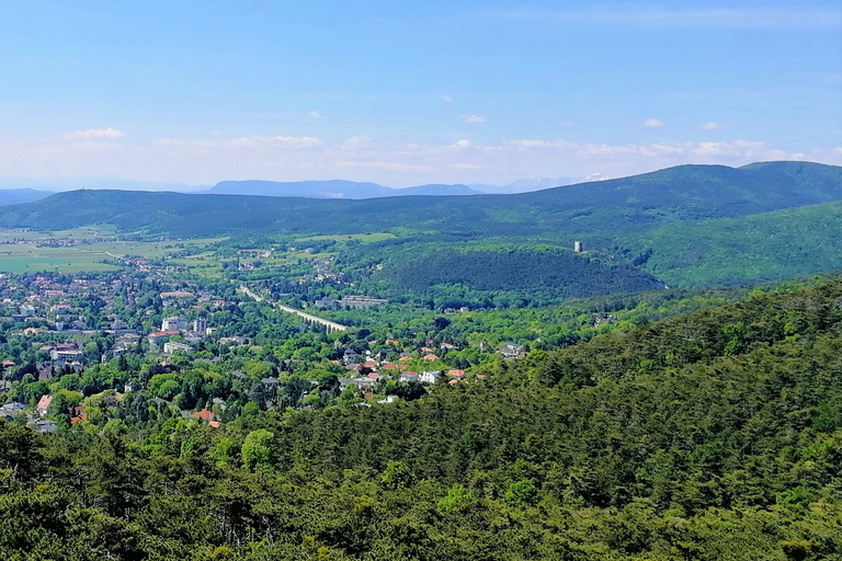 Viena: tour de vino de día completo por el bosque de VienaTour privado de verano