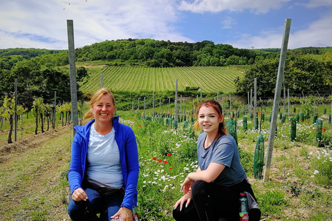 Wiedeń: całodniowa wycieczka po winnicach Woods WinePrywatna letnia wycieczka