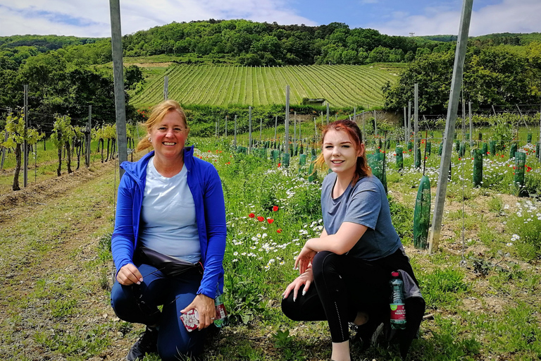 Wiedeń: całodniowa wycieczka po winnicach Woods WinePrywatna letnia wycieczka