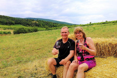 Vienna: Tour di un giorno intero con degustazione di vini dei boschi di Vienna