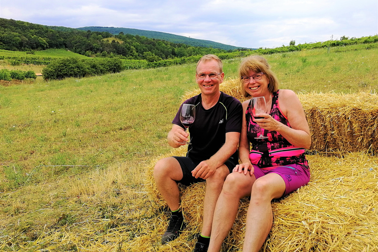 Vienna: Full-Day Vienna Woods Wine Tour Private Summer Tour