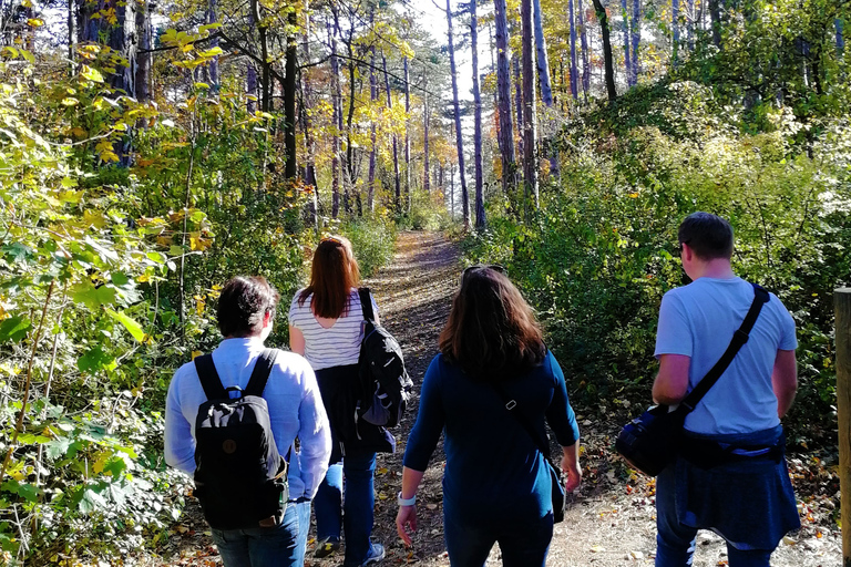 Vienne: excursion d'une journée dans les bois de VienneVisite privée d'été