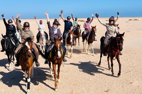 الغردقة: جولة ركوب الخيل في الصحراء والبحر مع خيار السباحةجولة لمدة ساعتين لركوب الخيل بدون السباح
