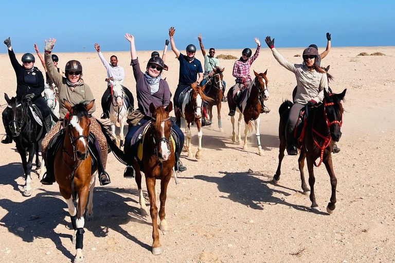 الغردقة: جولة ركوب الخيل في الصحراء والبحر مع خيار السباحةجولة لمدة ساعتين لركوب الخيل بدون السباح