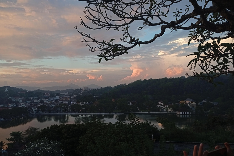 Kandy: Night Tour with Cultural Show, Buddha, & Dinner