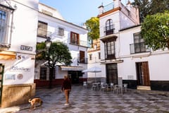 Sevilla: Santa Cruz Old Jewish Quarter Rundgang