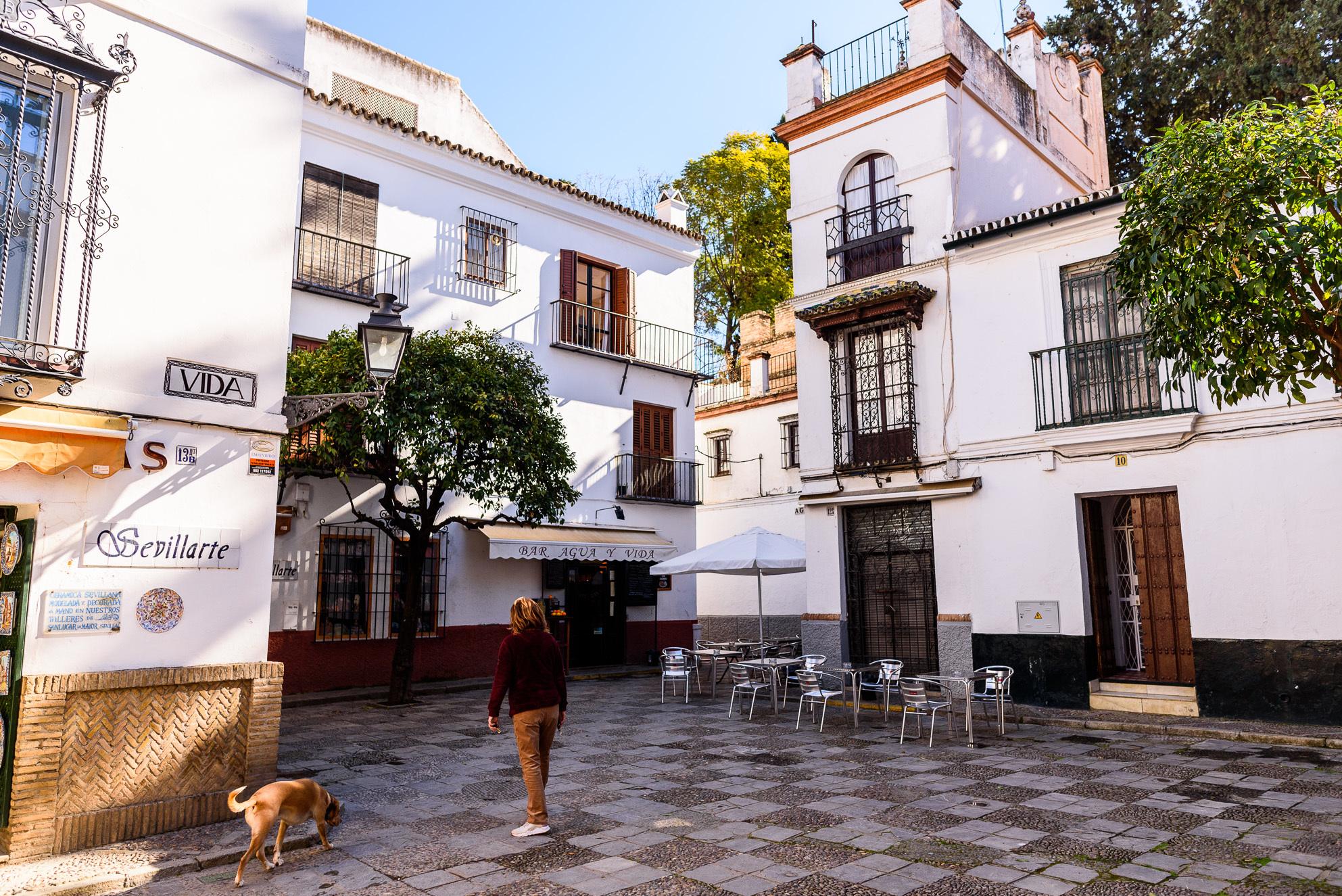 Sevilla: Tour a pie por la Judería Vieja de Santa Cruz