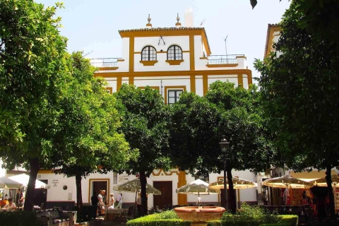 Sevilla: wandeltocht door de oude Joodse wijk van Santa CruzRondleiding in het Spaans