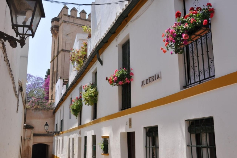Sevilla: recorrido a pie por el antiguo barrio judío de Santa CruzTour en español