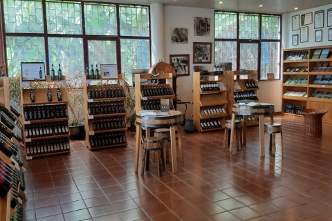 Madeira: Private Half-Day Wine Tasting Tour Pickup from South-West Madeira