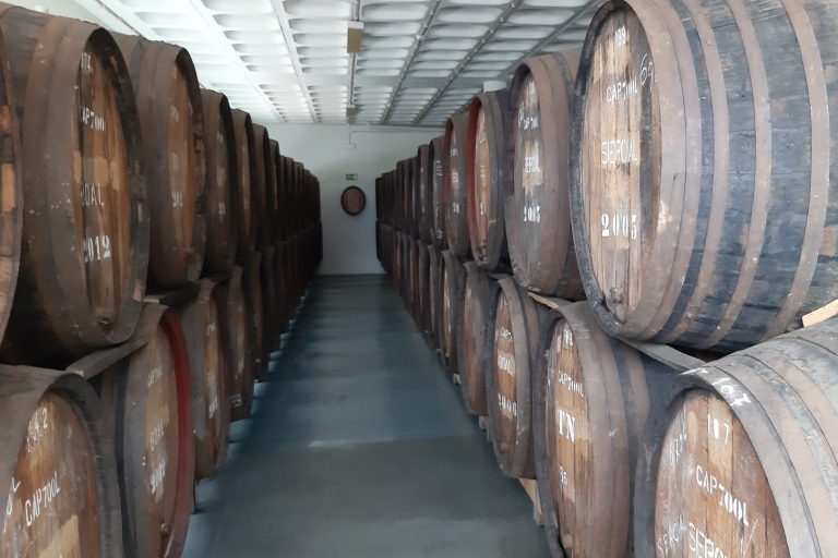 Madera: Prywatna półdniowa degustacja winaWycieczka z odbiorem z portu w Funchal
