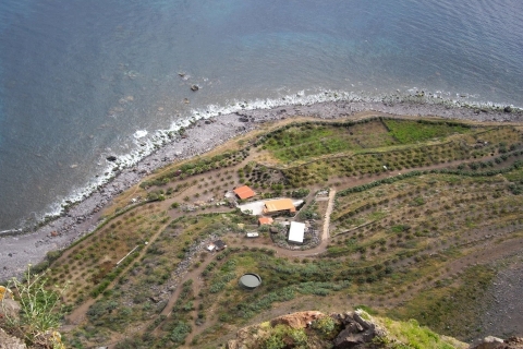 Madeira: Private Half-Day Wine Tasting Tour Pickup from South-West Madeira