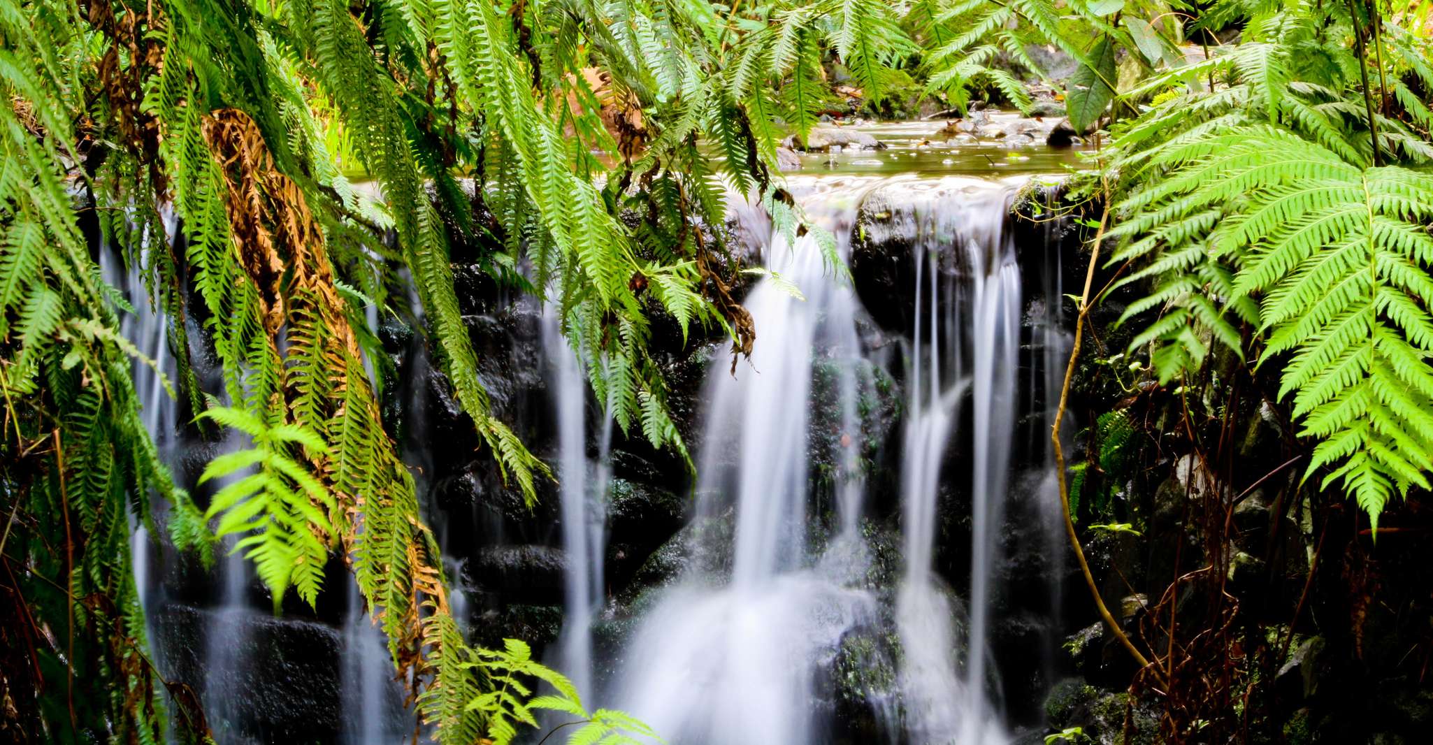 Insel Madeira, Caldeirão Verde Levada Spaziergang - Hizvo