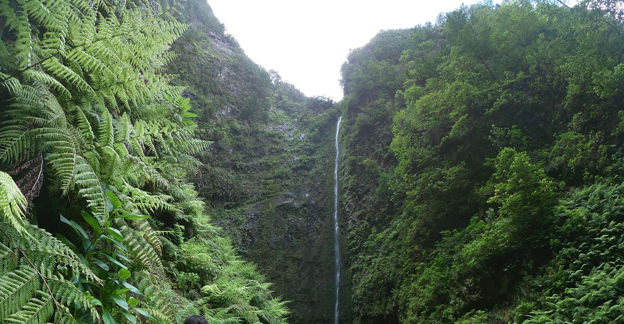 Insel Madeira, Caldeirão Verde Levada Spaziergang - Hizvo