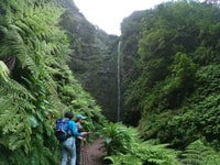 Ile de Madère, Caldeirão Verde Levada Walk - Hizvo