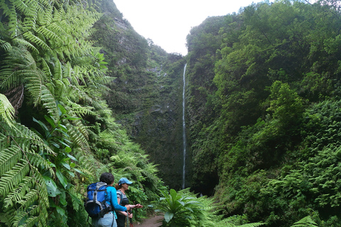 Madeira: Caldeirão Verde Levada-vandring