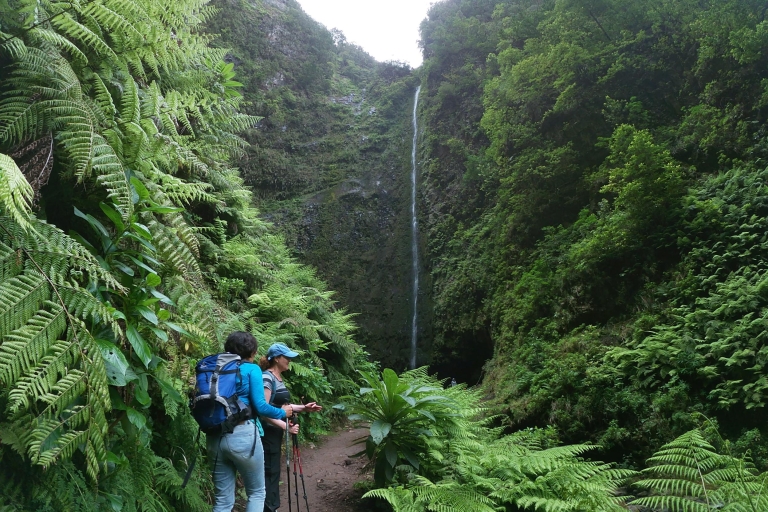 Eiland Madeira: wandeling Caldeirão Verde Levada