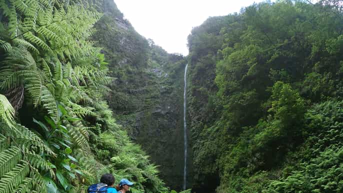 isola di madeira caldeirão verde levada walk