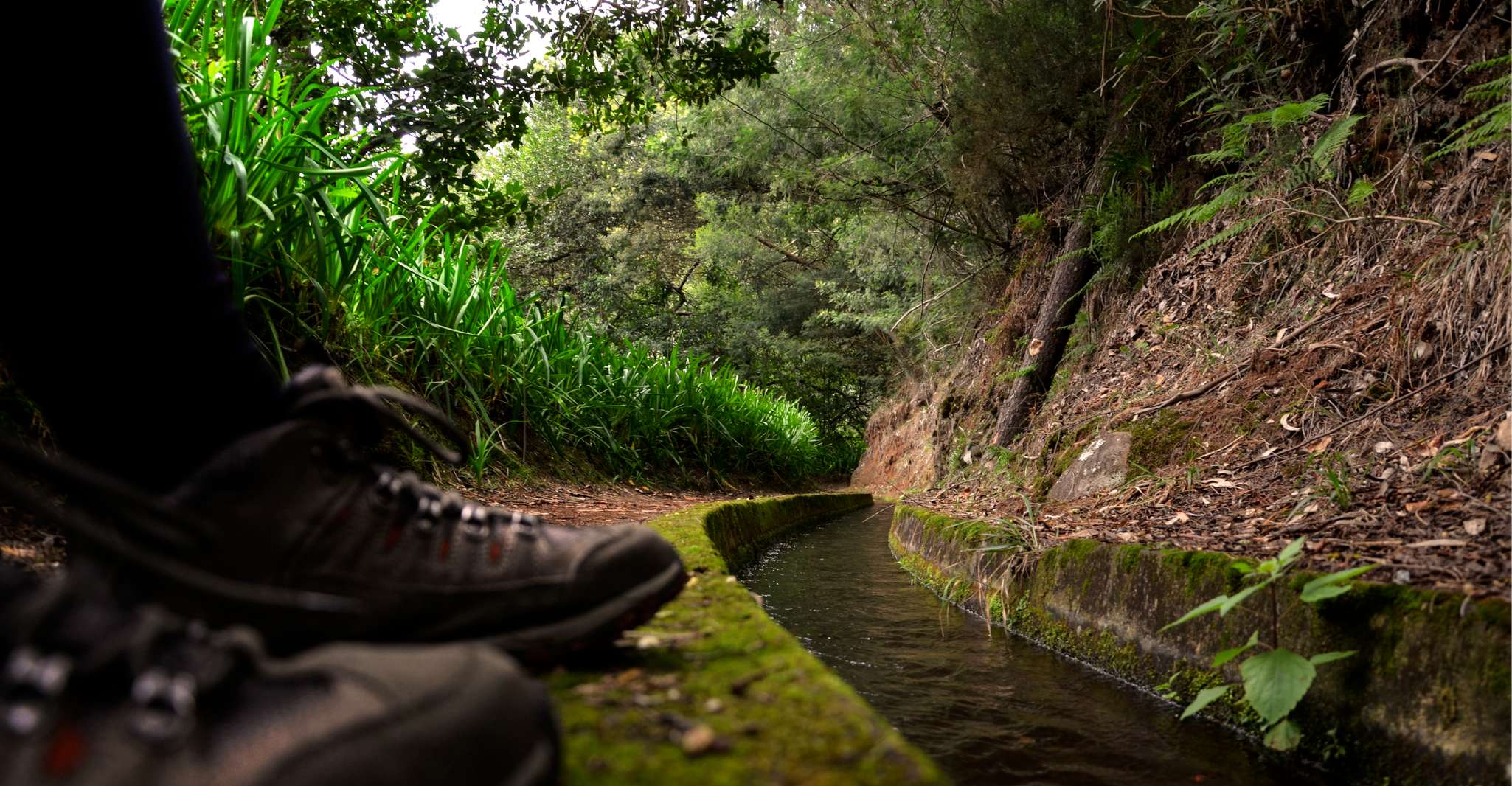 Insel Madeira, Caldeirão Verde Levada Spaziergang - Hizvo