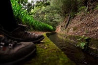 Ile de Madère, Caldeirão Verde Levada Walk - Hizvo
