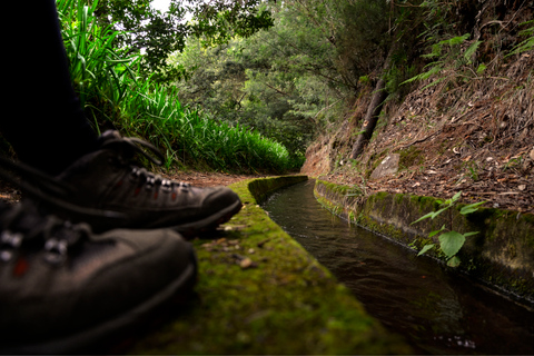 Isla de Madeira: ruta levada en Caldeirão Verde