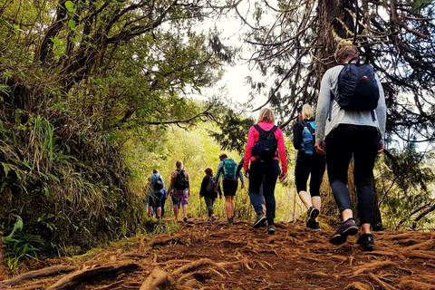 Madeira: Queimadas, Caldeirão Verde & Levada-Wanderung