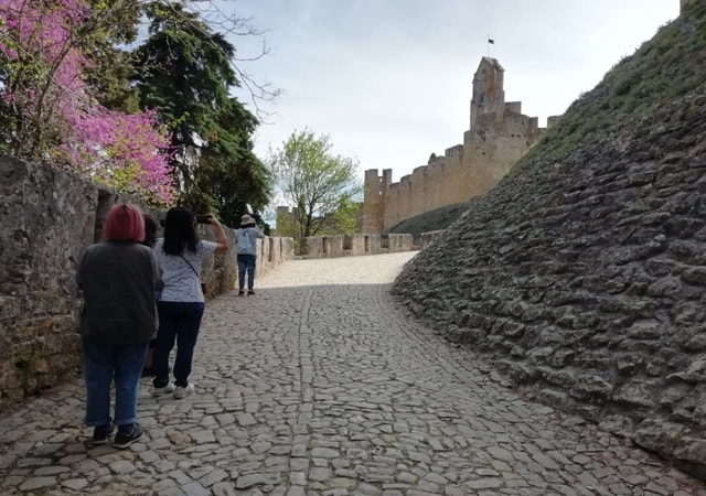 Visit Lisbon: Private Guided Tour of Tomar, Batalha, and Alcobaça in Santo Anto