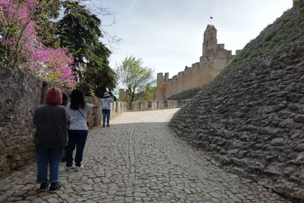 Lisboa: Visita guiada privada de Tomar, Batalha y Alcobaça