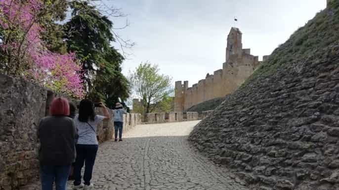 lisbon private guided tour of tomar batalha and alcobaça