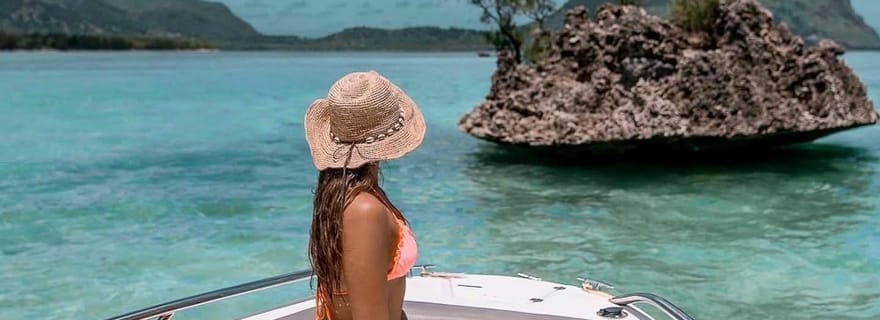 Île Maurice : expédition avec les dauphins et prise en charge à l'hôtel