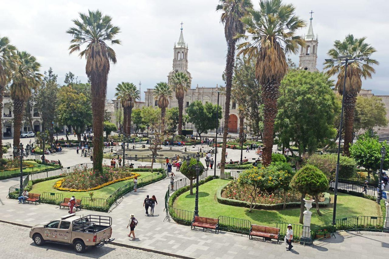 from Arequipa: Chivay and the Colca Canyon Viewpoint 1 Day