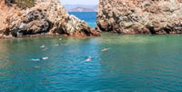 Oluudeniz, Butterfly Valley Tour y St. Nicholas Island Cruise - Housity