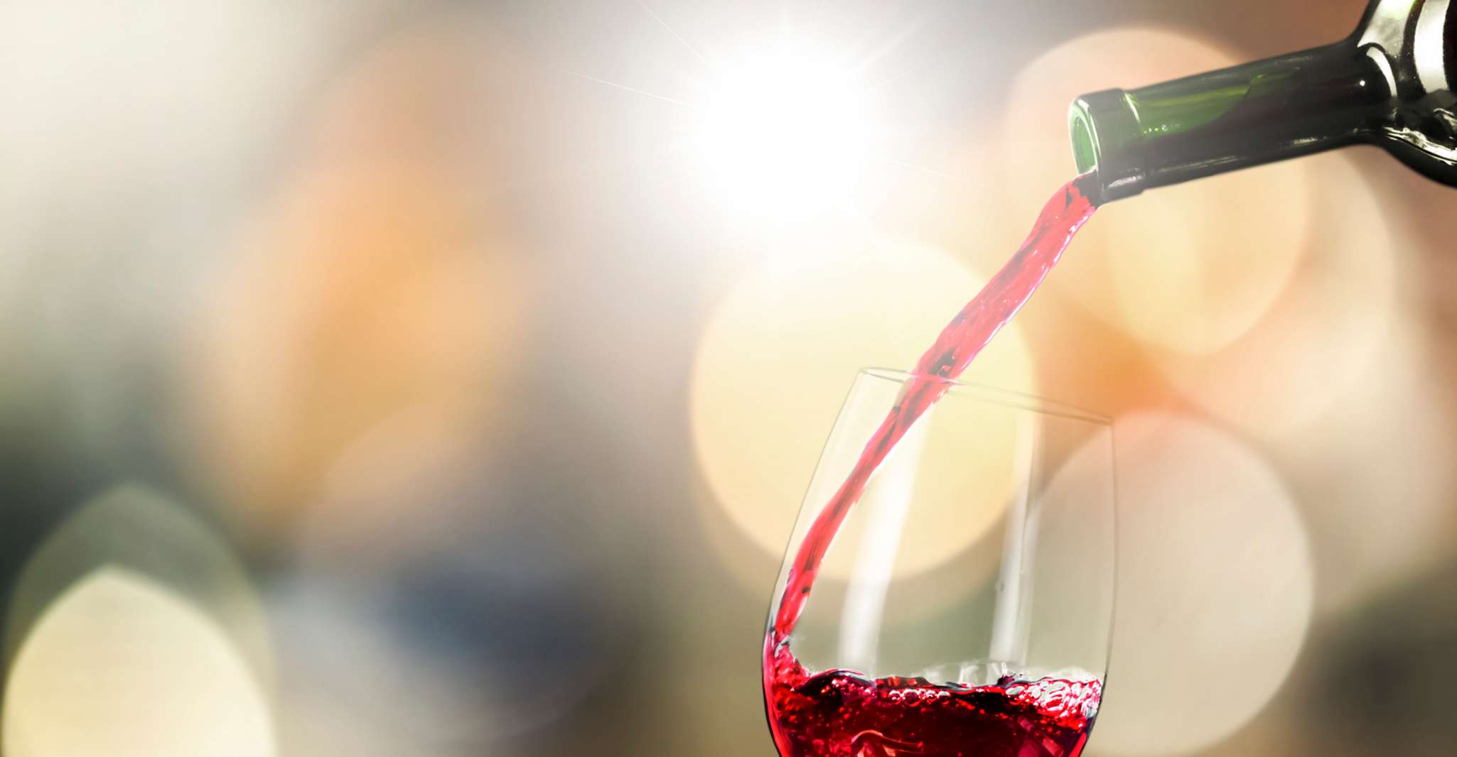 Santiago, Principales caves chiliennes Visites privées d'une demi-journée - Hizvo