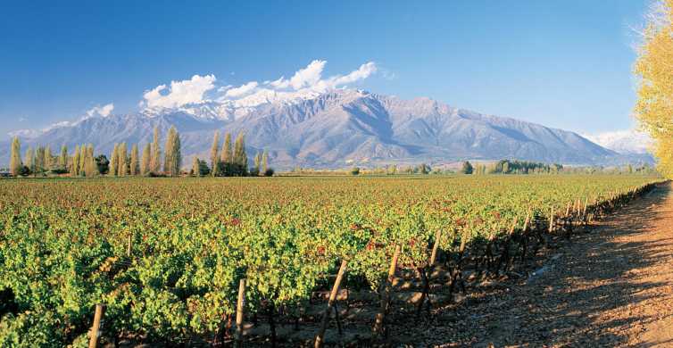 2023 Santa Rita Winery Premium Tour provided by Vina Santa Rita