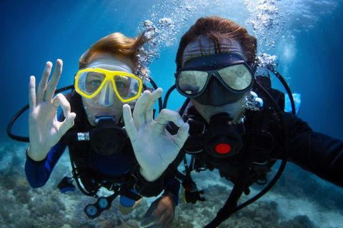 Fethiye: immersioni subacquee professionali con pranzo
