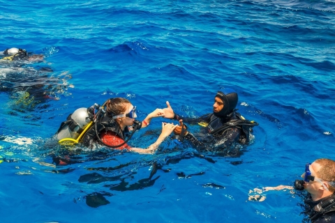 Fethiye : plongée sous-marine professionnelle avec déjeunerFethiye : plongée sous-marine avec déjeuner