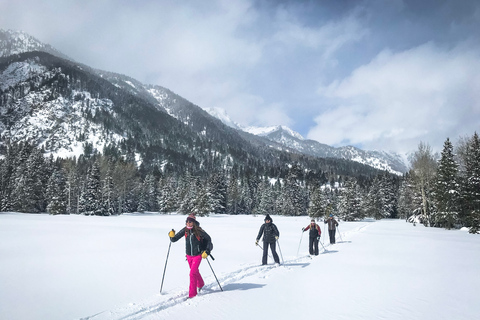 Grand Teton National Park: 8-Hour Willdlife & Snowshoe Tour Private Tour for 6-7 People