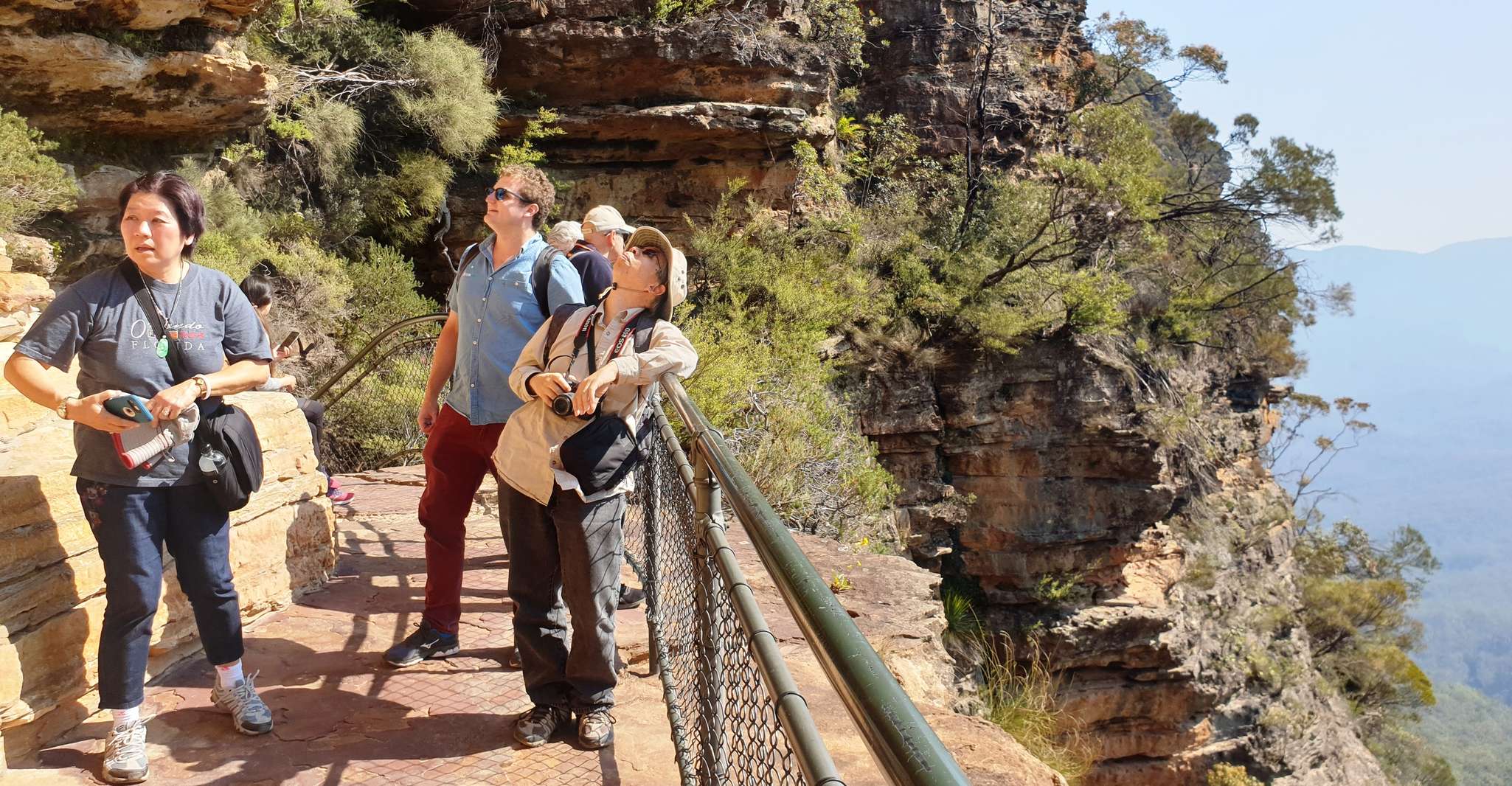 Sydney, Blue Mountains, Bushwalks, Waterfalls et Koalas - Hizvo