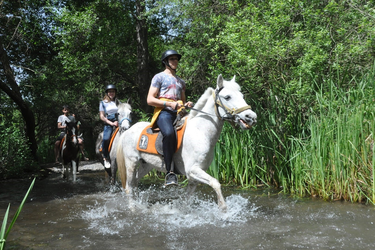 Aus Fethiye: ReitabenteuerStandardoption