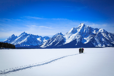 Grand Teton National Park: 4-Hour Beginner Cross-Country Ski Private Tour for 1-5 People