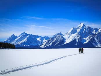 Grand Teton National Park: 4-Stunden-Langlauf für Anfänger Grand Teton National Park: 4-Stunden-Langlauf für Anfänger