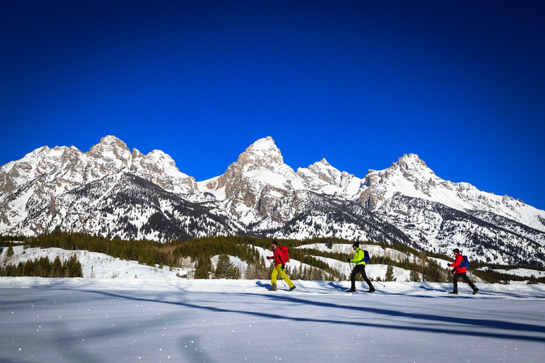 Grand Teton National Park: 4-Hour Beginner Cross-Country Ski Private Tour for 1-5 People