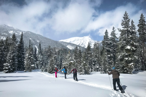 Grand Teton National Park: 4-Hour Beginner Cross-Country Ski Private Tour for 1-5 People