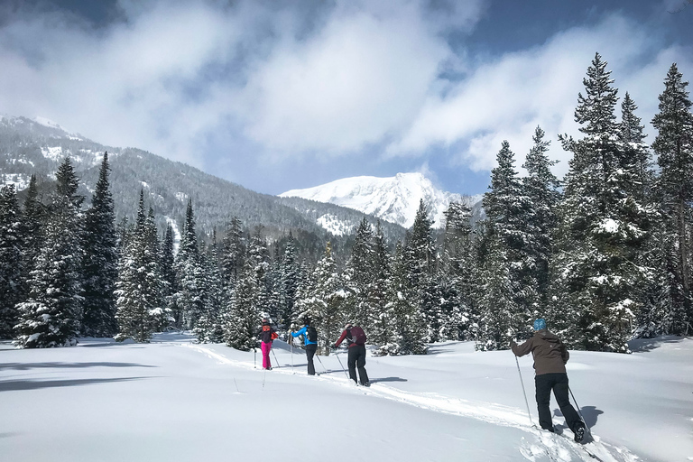 Grand Teton National Park: 4-Hour Beginner Cross-Country Ski Private Tour for 1-5 People