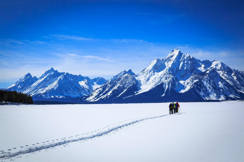 Grand Teton National Park 4Hour Easy Snowshoeing Tour GetYourGuide