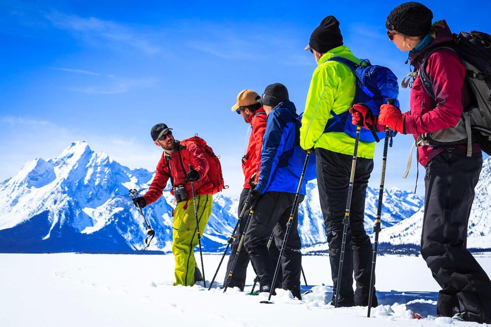 Grand Teton National Park 4Hour Easy Snowshoeing Tour GetYourGuide