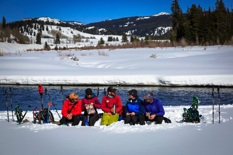 Grand Teton National Park: 4-Hour Easy Snowshoeing Tour Private Tour up to 5 Guests
