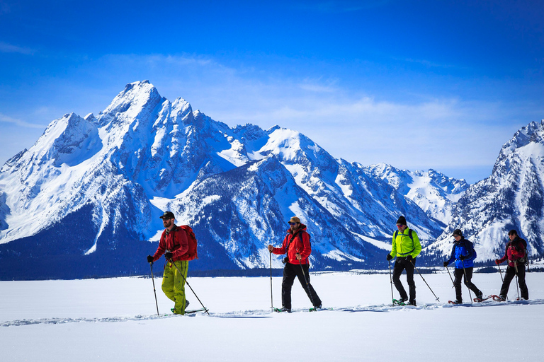 Grand Teton National Park: 4-Hour Easy Snowshoeing Tour Private Tour up to 5 Guests