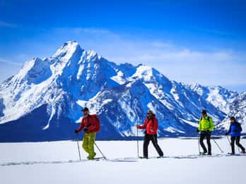 Grand Teton National Park: 4-stündige leichte Schneeschuhtour Grand Teton National Park: 4-stündige leichte Schneeschuhtour